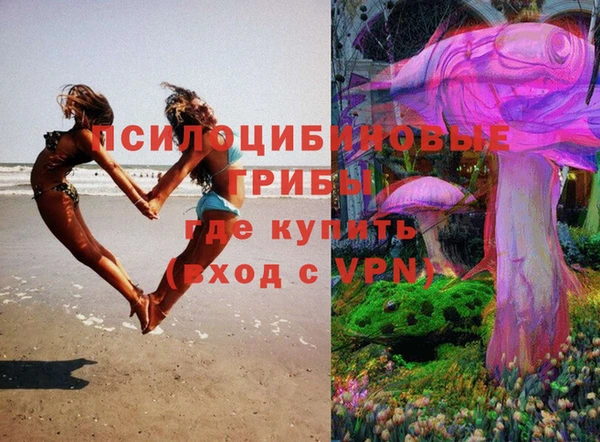 прущие грибы Надым