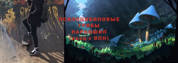 Альфа ПВП Нефтегорск
