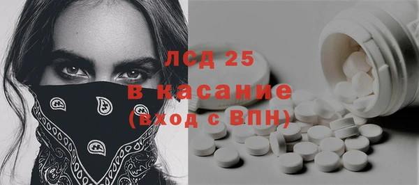 прущие грибы Надым