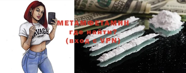 прущие грибы Надым