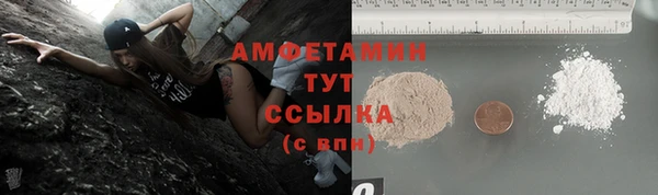 прущие грибы Надым
