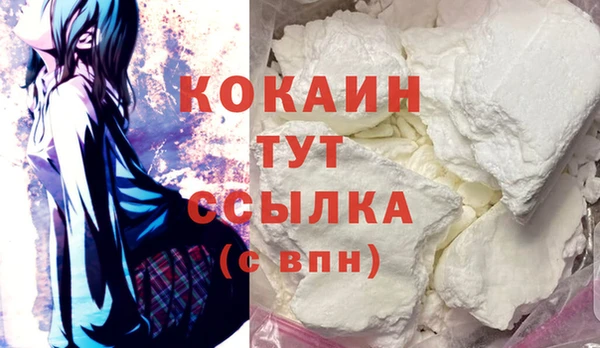 индика Михайловка