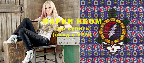 прущие грибы Надым