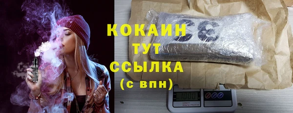 прущие грибы Надым