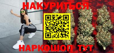 каннабис Кингисепп