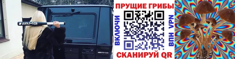 ОМГ ОМГ вход  Нарьян-Мар  Псилоцибиновые грибы MAGIC MUSHROOMS  наркотики 
