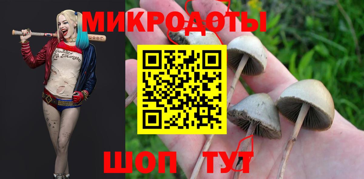 Нарьян-Мар  Псилоцибиновые грибы Cubensis  Вход с VPN 